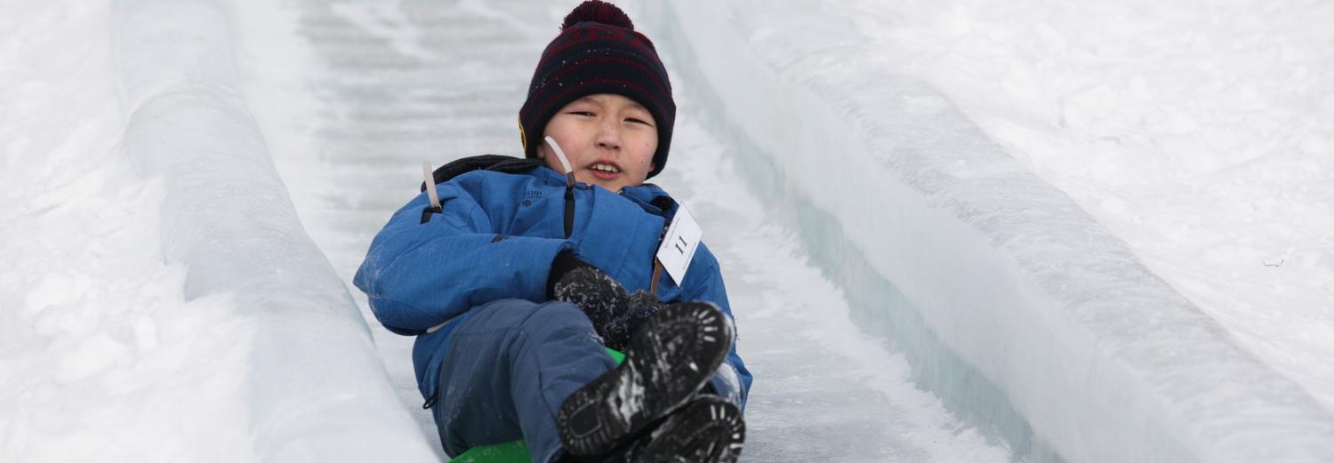 Учёные жалуются на любителей плюшек, сломавших забор в Ботсаду