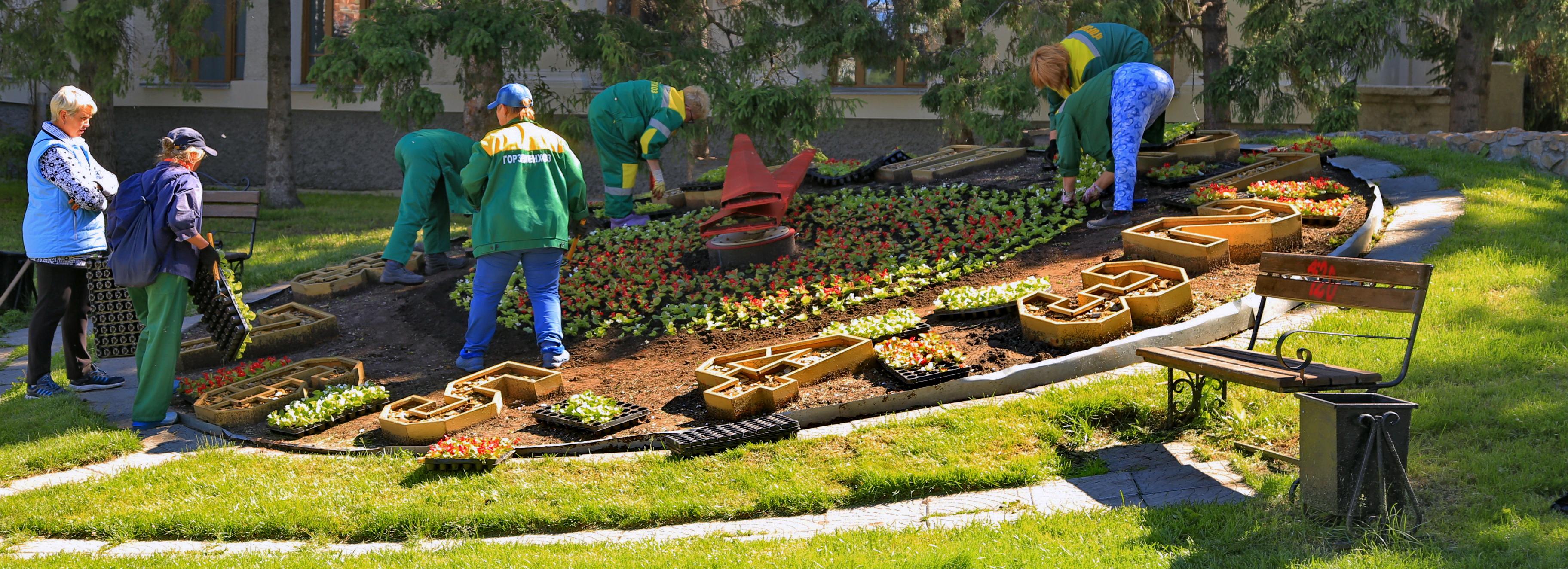 Понятный город: как зелёные инженеры возвращают природу в Новосибирск