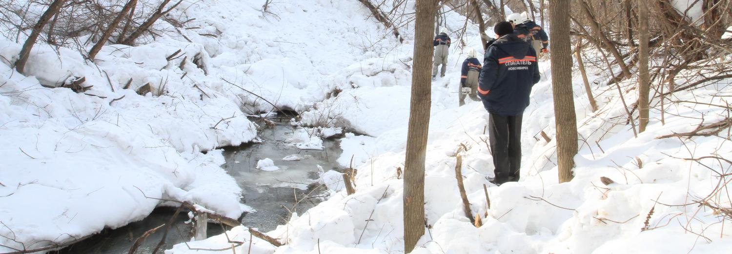 Мощный паводок прогнозируют гидрологи этой весной