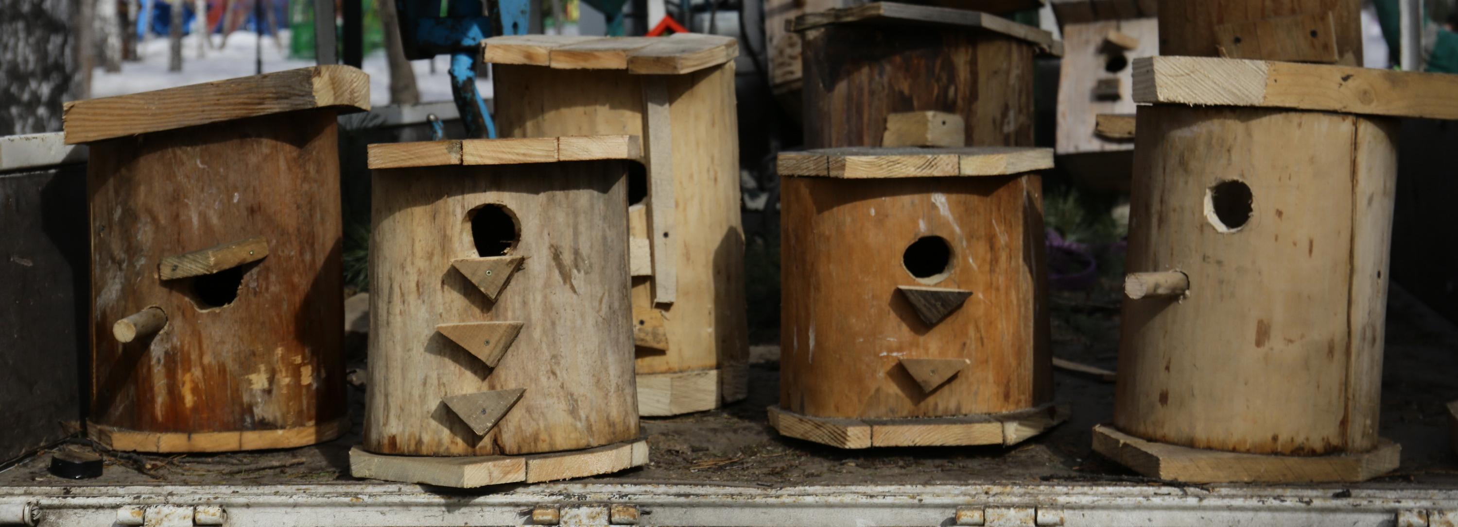 Двухуровневые бельчатники появились в Центральном парке Новосибирска