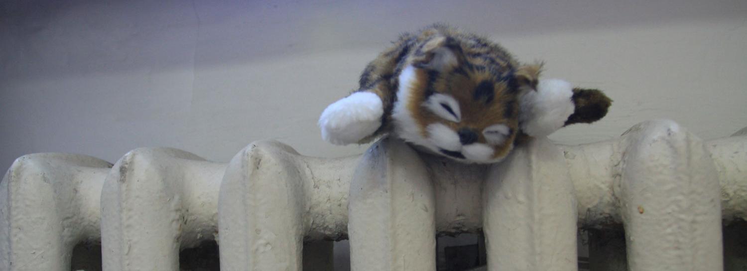 СГК пообещала снова дать тепло в Новосибирске в случае похолодания