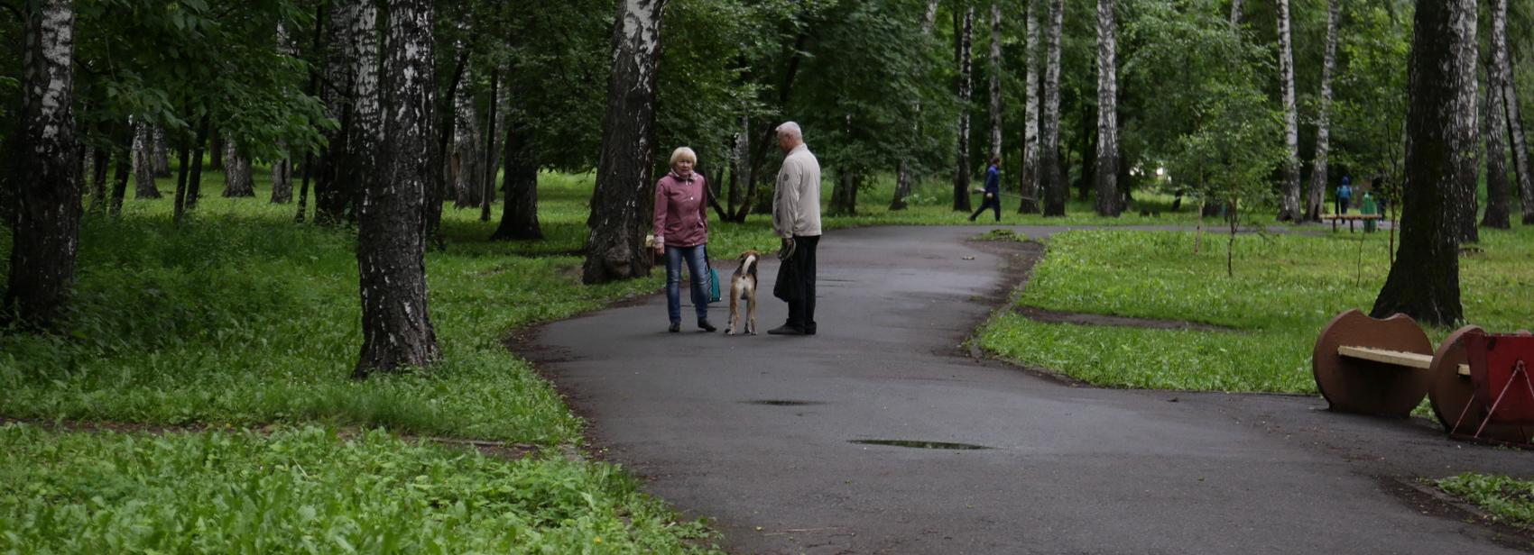 Новосибирцев зовут на семинар по преображению Берёзовой рощи