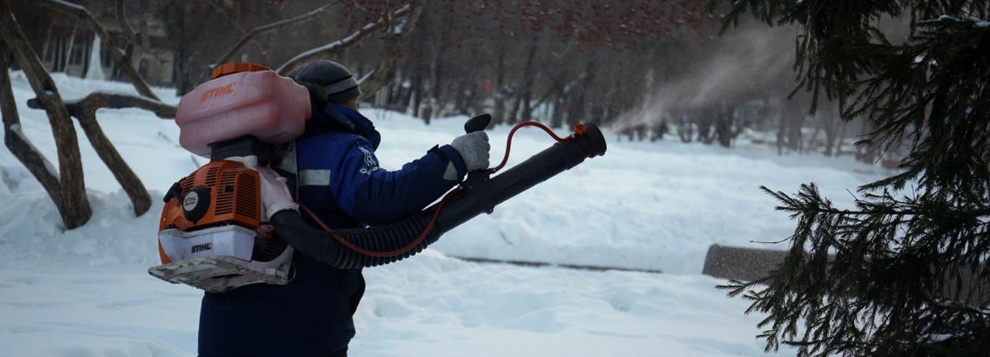 Ёлки в парках Новосибирска красят едкой розовой смесью от вандалов