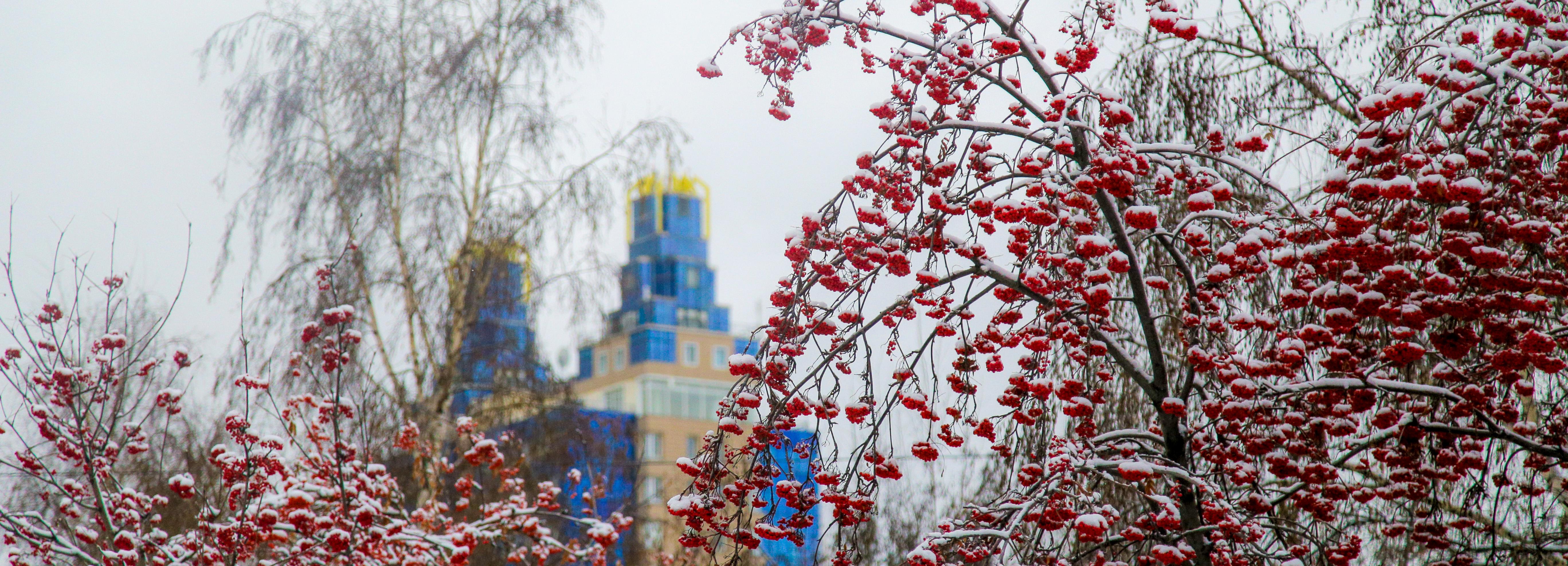 Тёплой погодой без снегопадов порадует новосибирцев антициклон