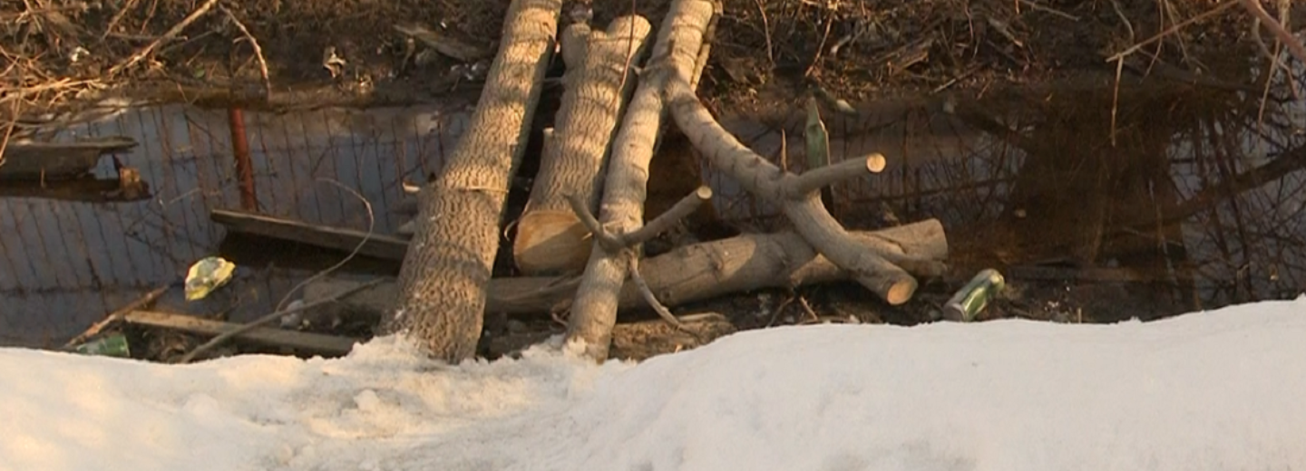 Отчаянные дачники с Тульской ломают забор, чтобы срезать путь до СНТ