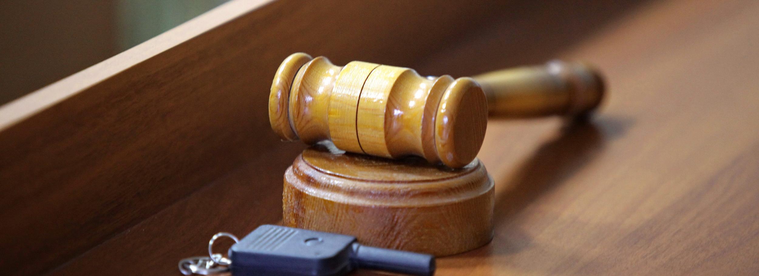 Огромный подвал под новосибирским Музеем природы выставят на аукцион