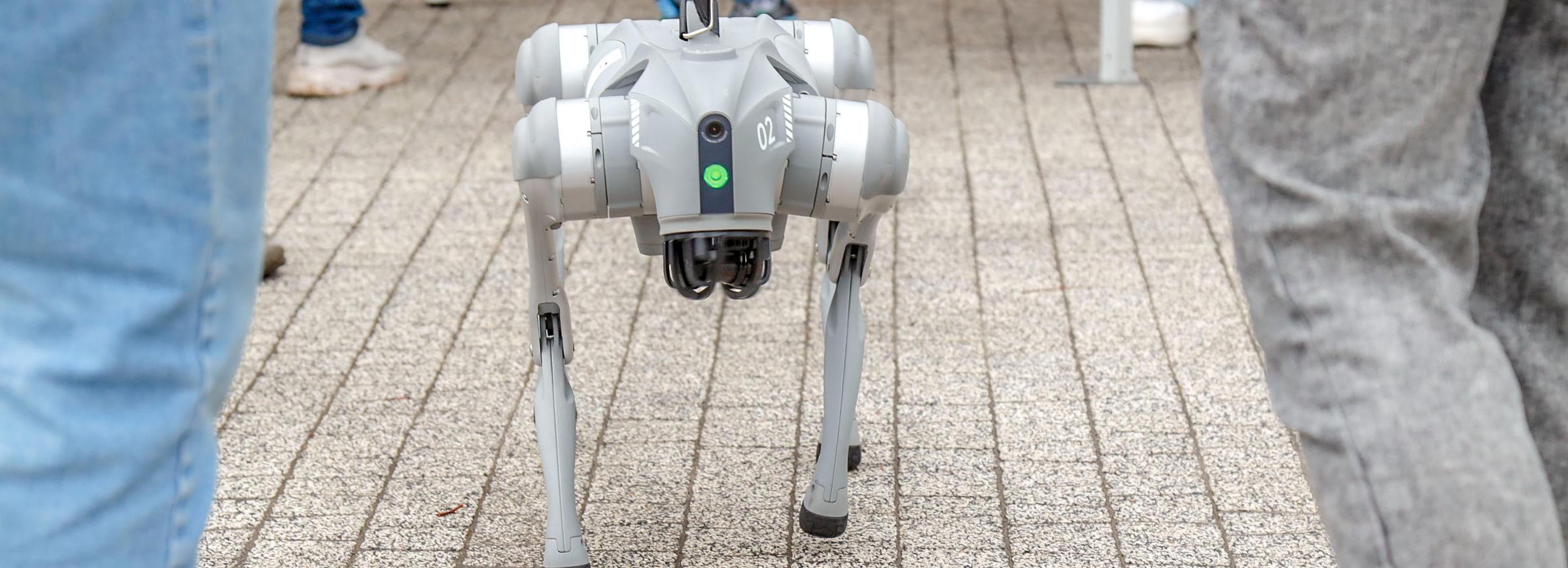 Косплееры и робопёс: что показали на «АРТ-Фабрике» в Центральном парке