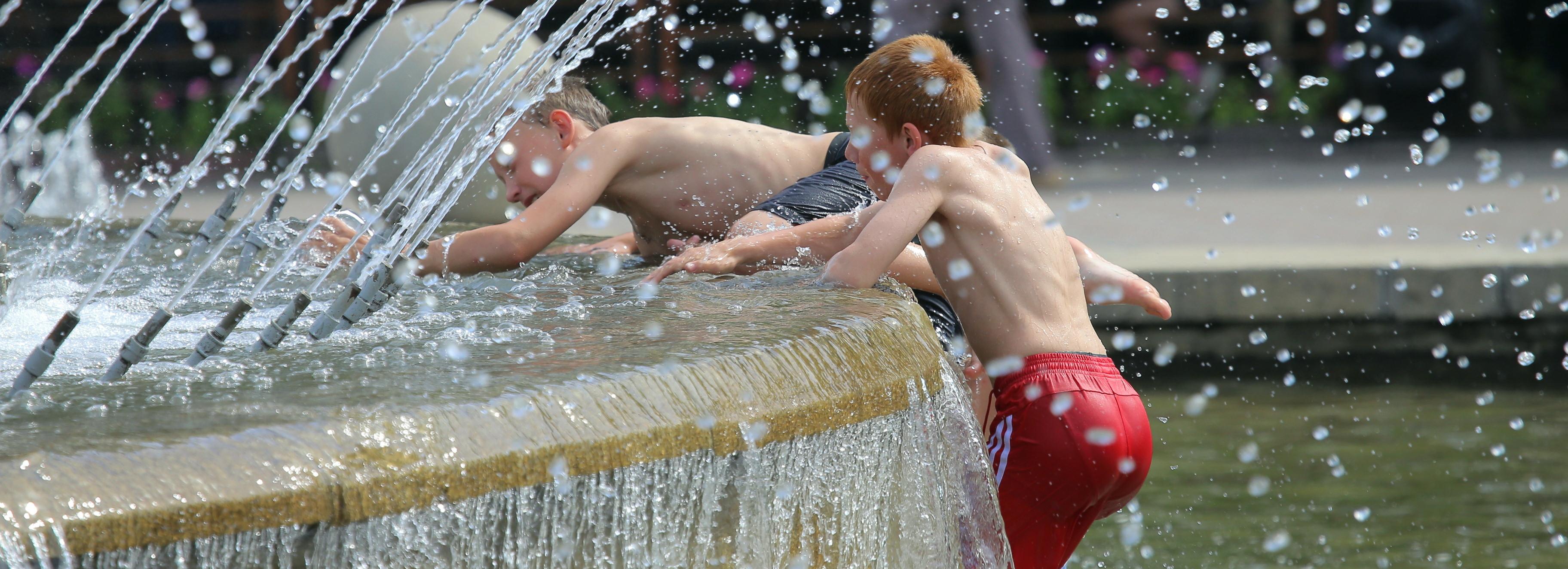 Аномальная жара до +39 накроет Новосибирскую область на макушке лета