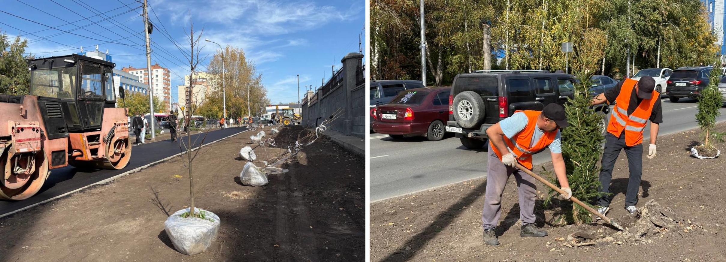 Мэр Кудрявцев: 80 молодых лип и елей высаживают на Бориса Богаткова