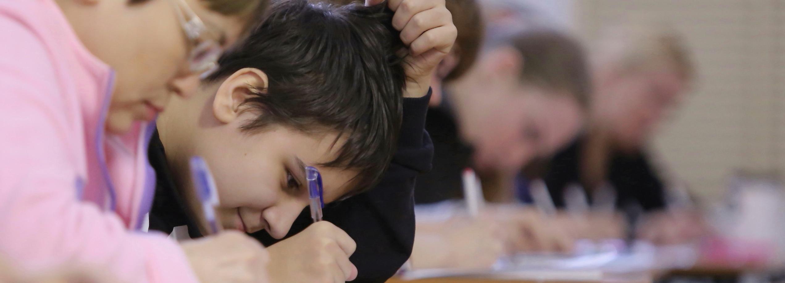 Диктант о науке и беспилотниках впервые напишут в Новосибирске