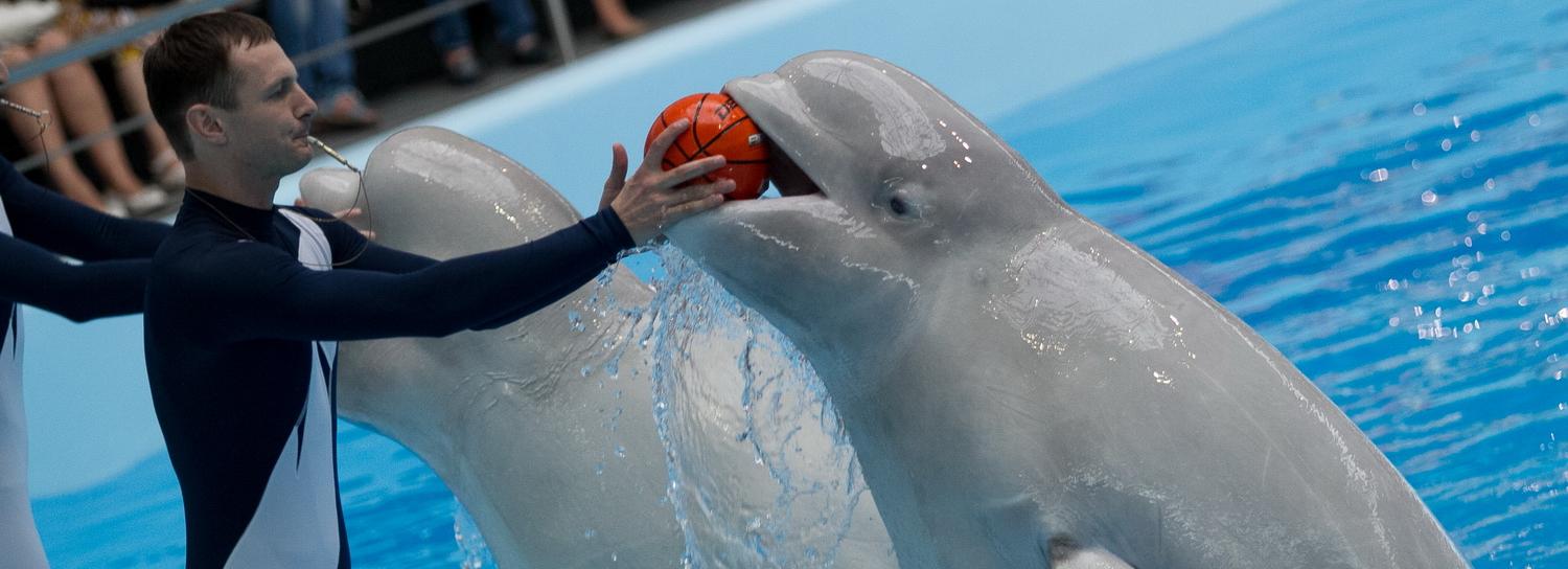 Афиша Новосибирска: куда сходить в среду, 13 января