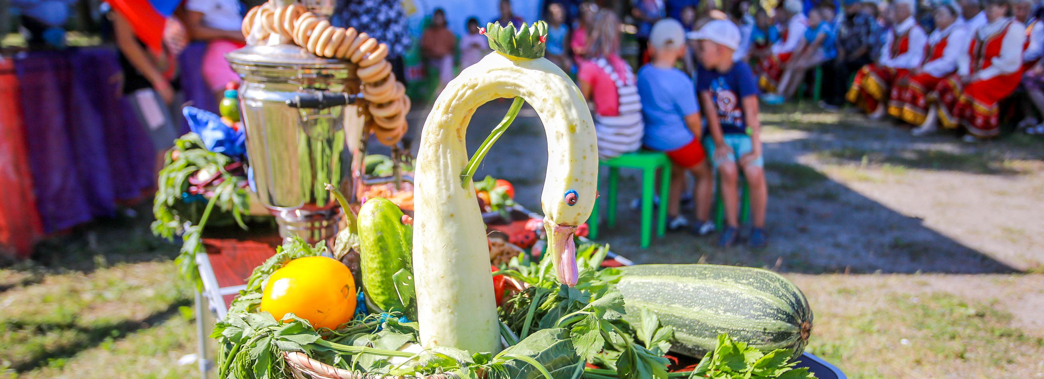 Высадят деревья и споют частушки: где отметят День соседей в Новосибирске
