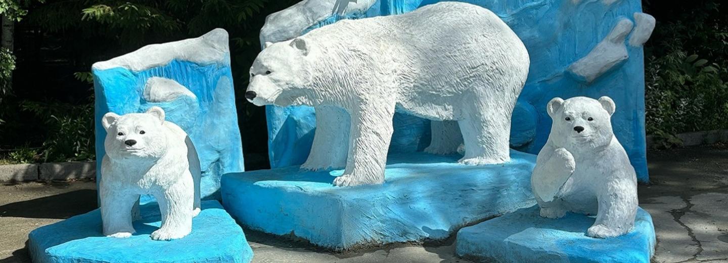 Фотозону со скульптурами белых медведей установили в зоопарке
