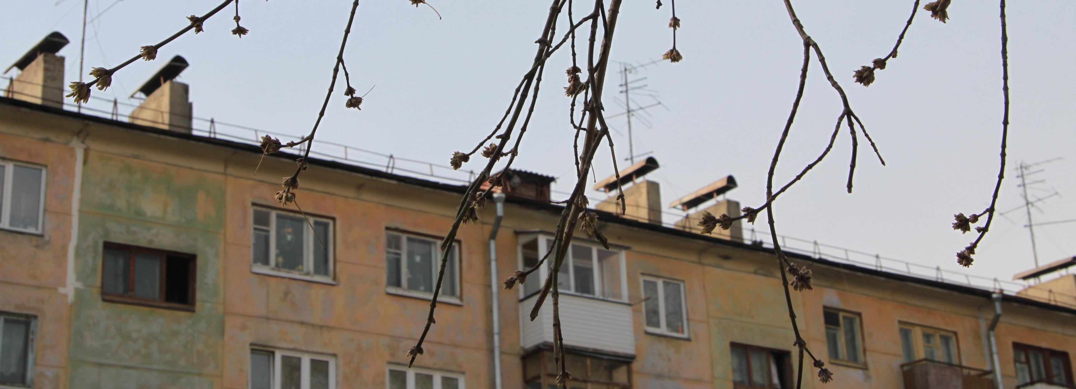 Плюсовые температуры придут в Новосибирск к концу марта