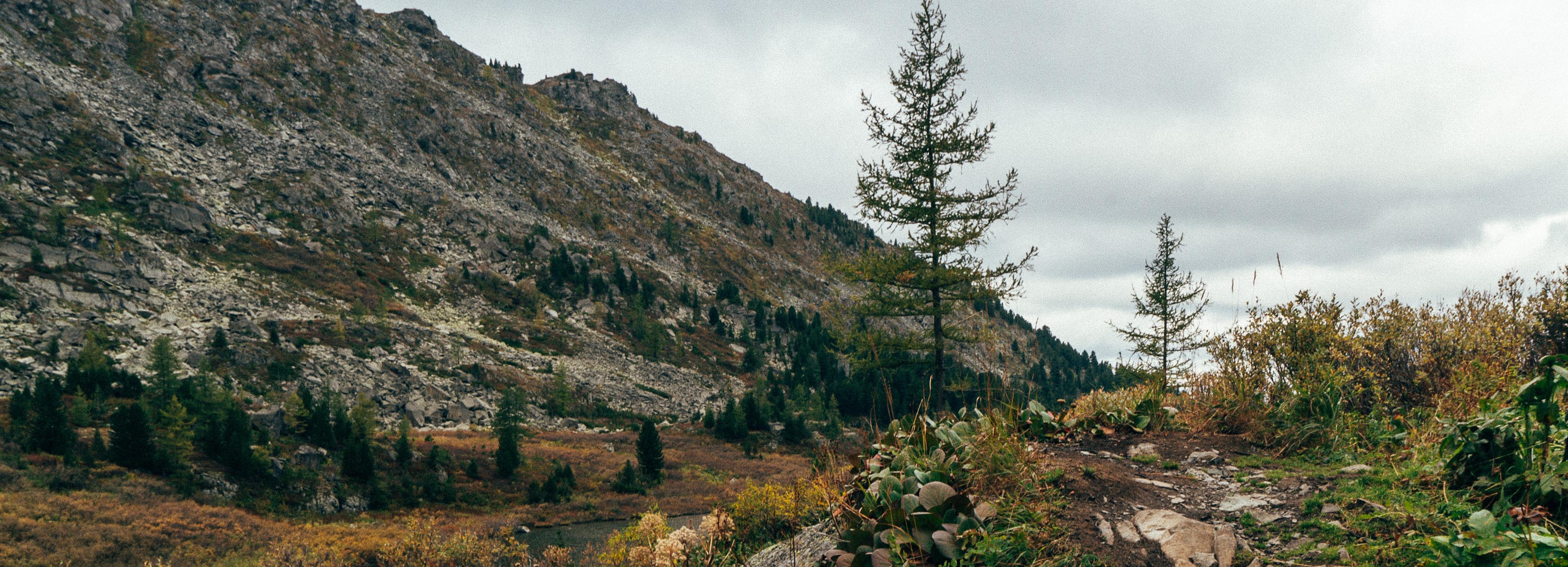 Работа в Новосибирске: строитель в Донбасс, капельдинер и сборщик трав