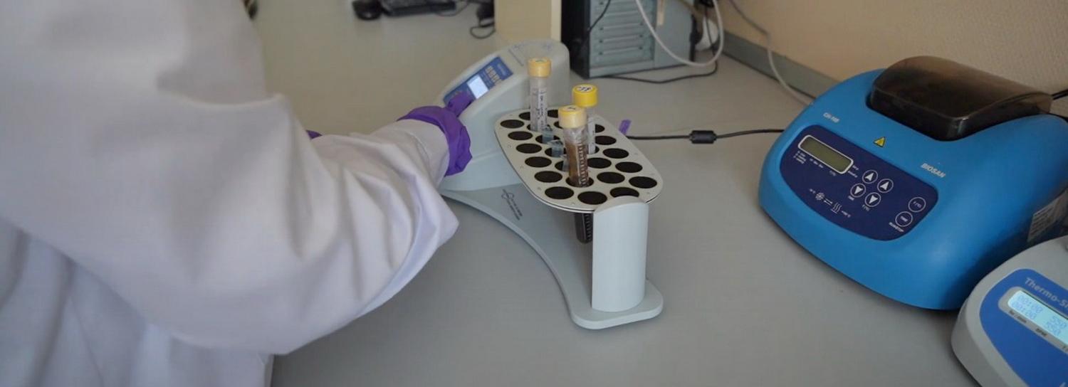 Наночастицы мела помогут доставить лекарство точно к раковой опухоли