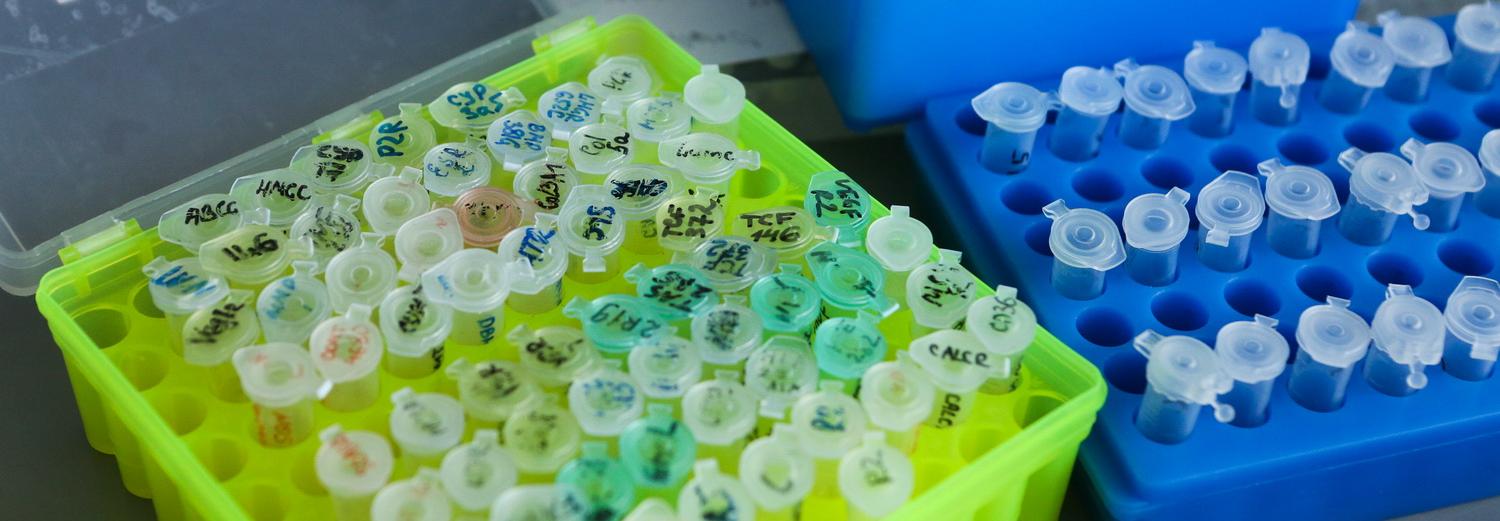 Учёные: коронавирус только набирает обороты