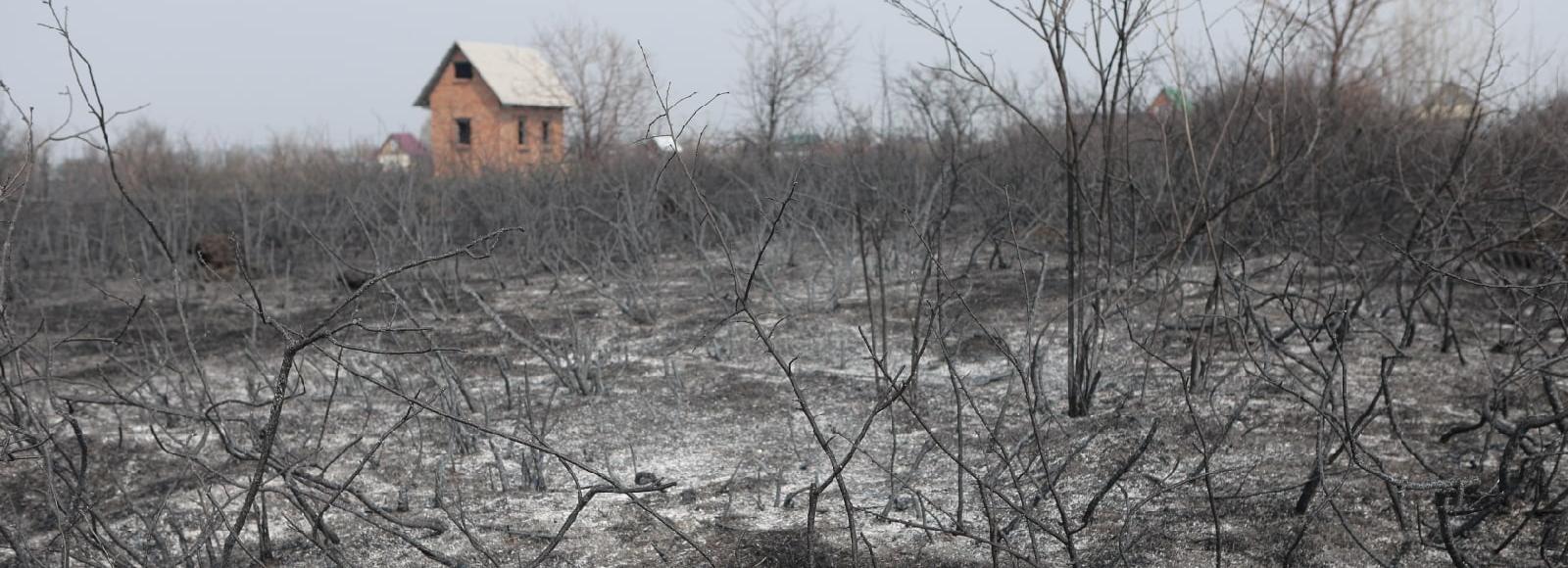 Палы травы уничтожили фельдшерско-акушерский пункт под Новосибирском