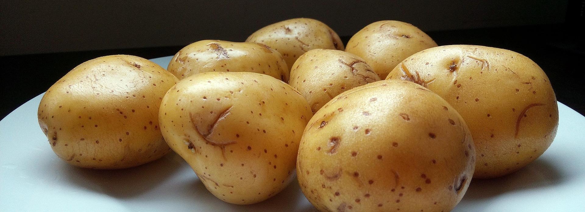 Агросклад для чипсов Lay’s за 30 млн долларов открыли под Новосибирском