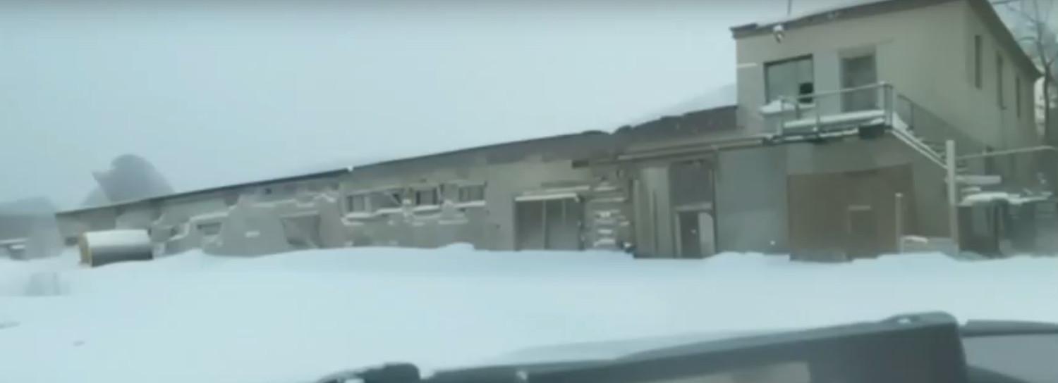 Центр реабилитации диких животных создадут в Новосибирской области