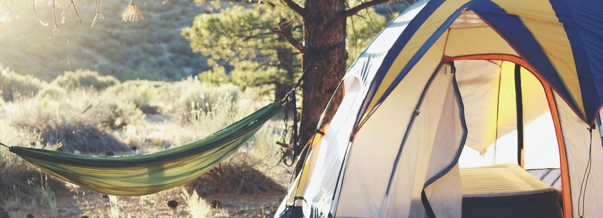 Стоимость сельского экопарка «Хомутина» снизили до 166 млн рублей