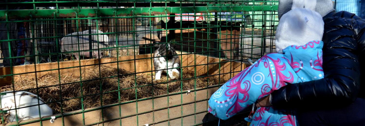 Как научить ребёнка любить природу