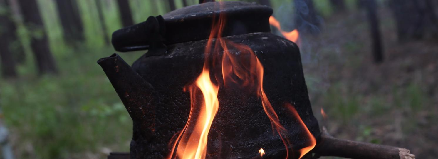 Родителям советуют обучить детей противопожарным правилам к лету