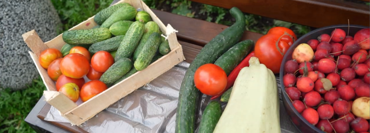 Щедрая пора: новосибирцы через ТОСы раздают излишки урожая