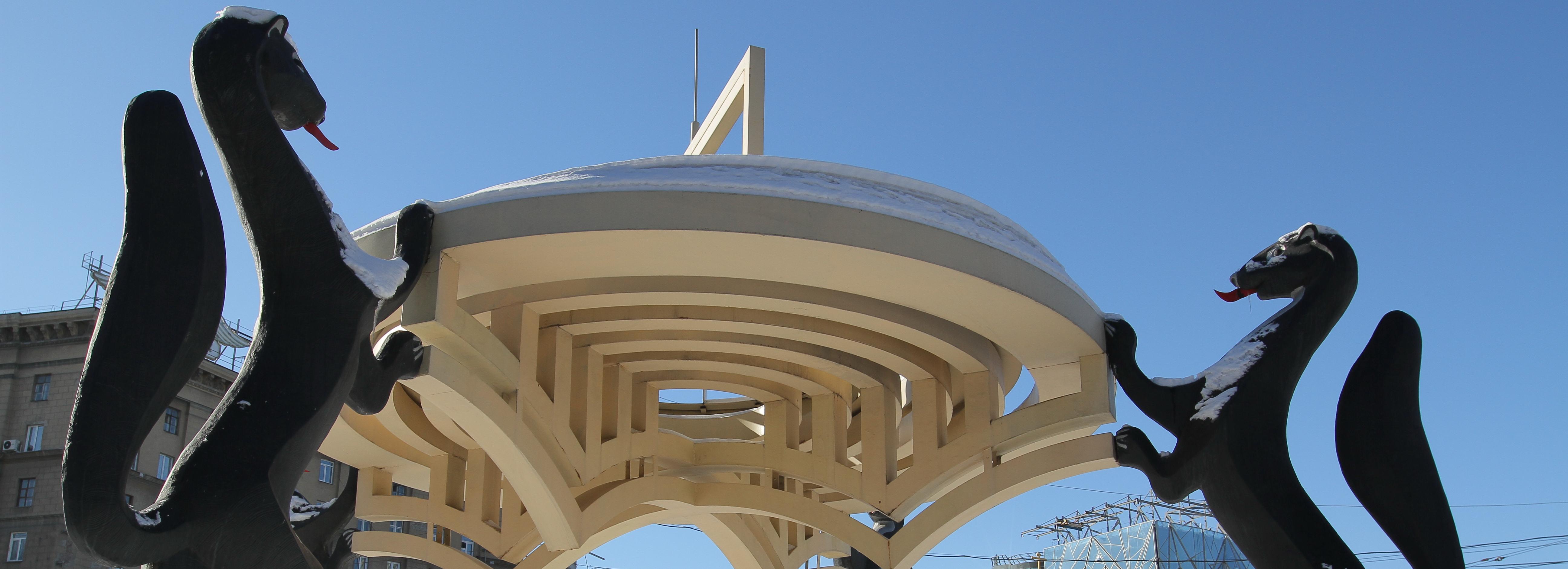 Судьбу соболей в центре Новосибирска решат в 2021 году