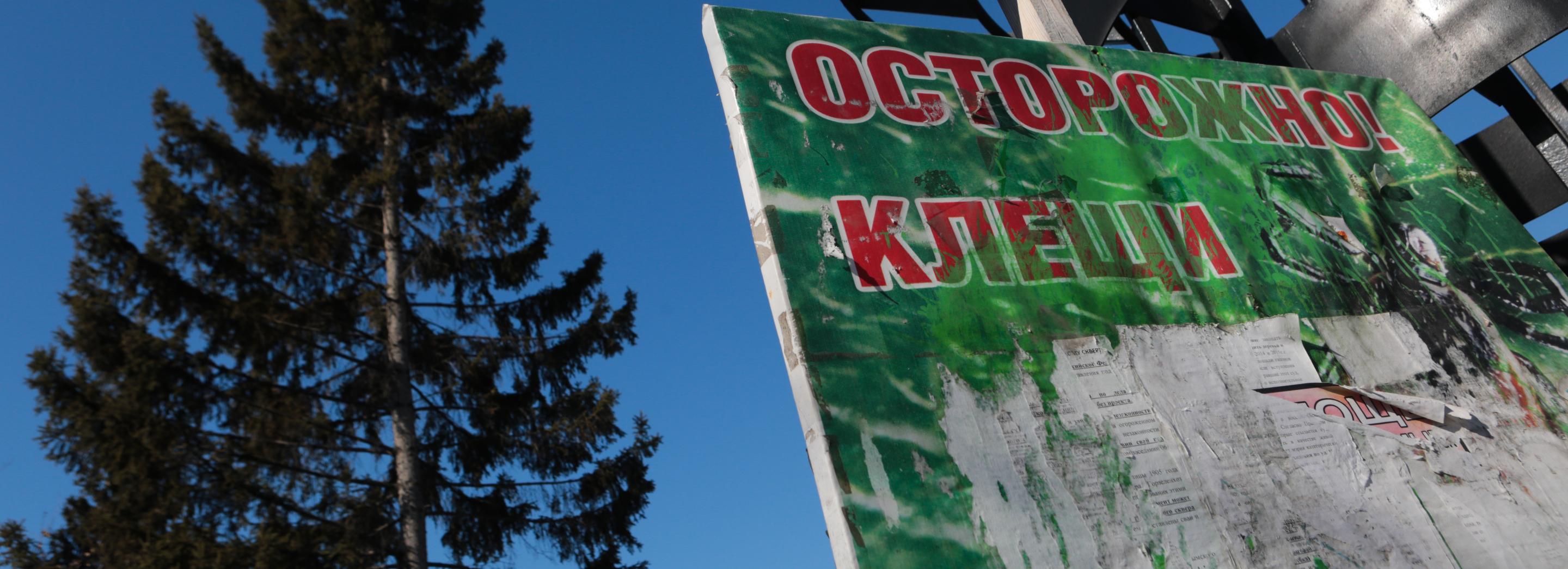 Роспотребнадзор объявил о завершении сезона клещей в Новосибирске