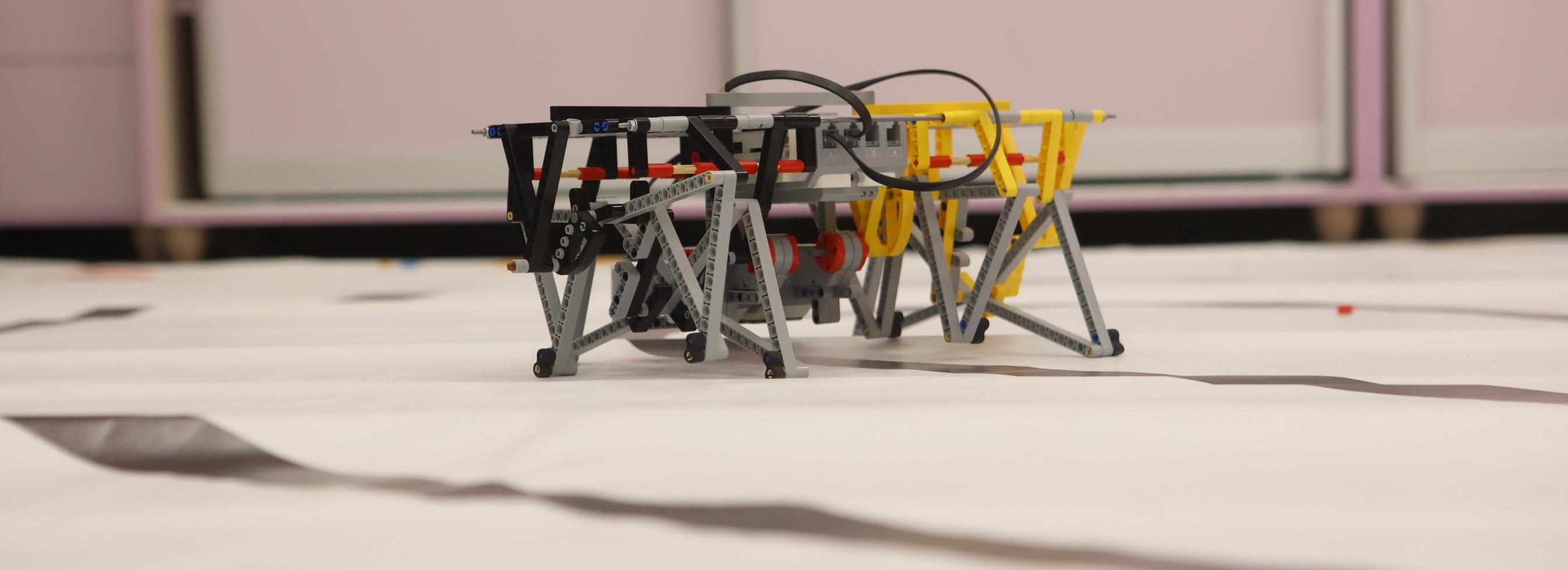 Интеллектуальное сумо и футбол: «РобоФинист» стартовал в Новосибирске