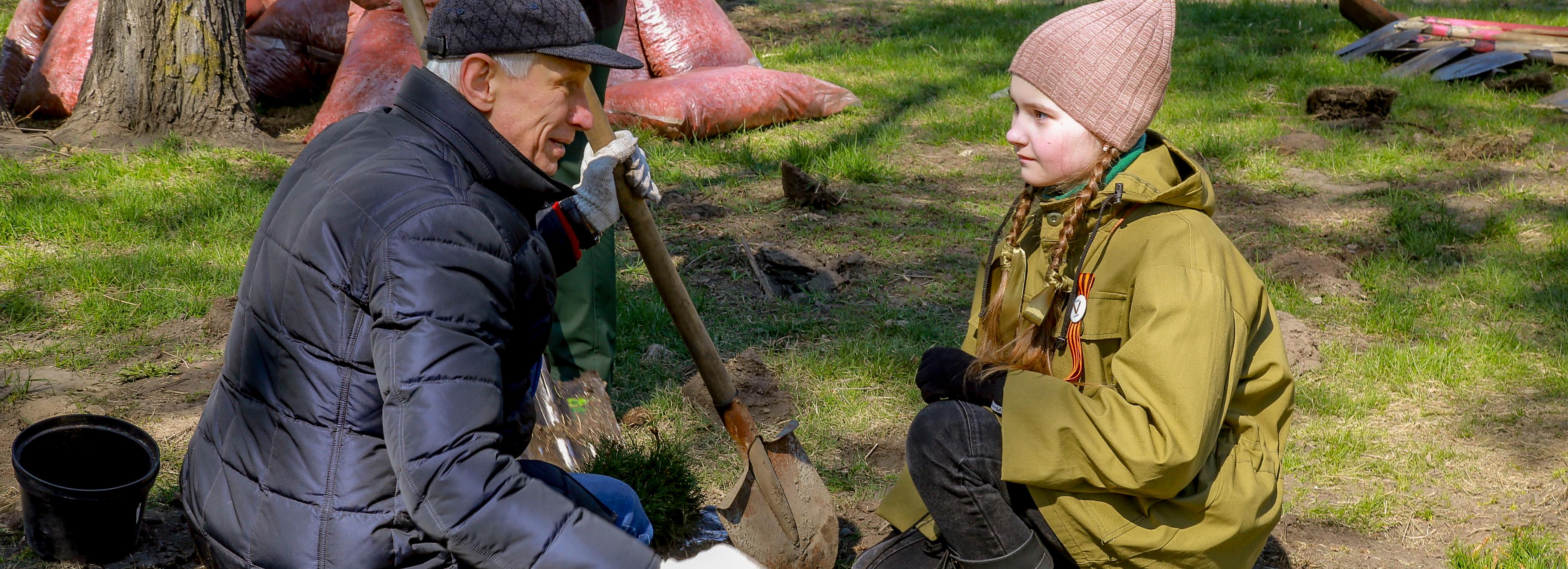 Карликовые сосны высадили за оперным в память о погибших на войне