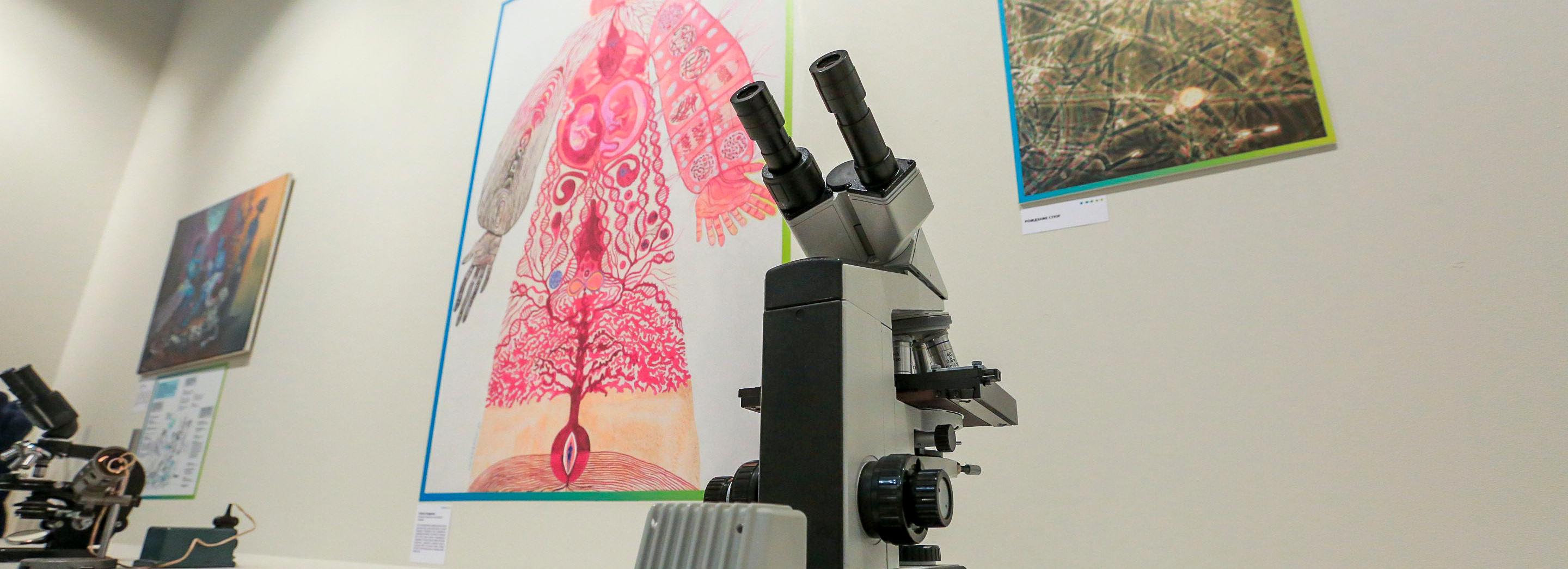 Сюрреалистичные экспонаты о жизни и смерти показали на выставке OpenBio