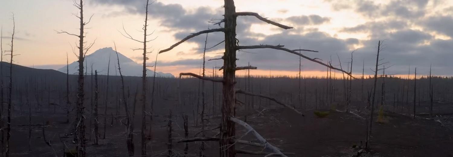 Новосибирские учёные показали сибиряков, живших 400 млн лет назад