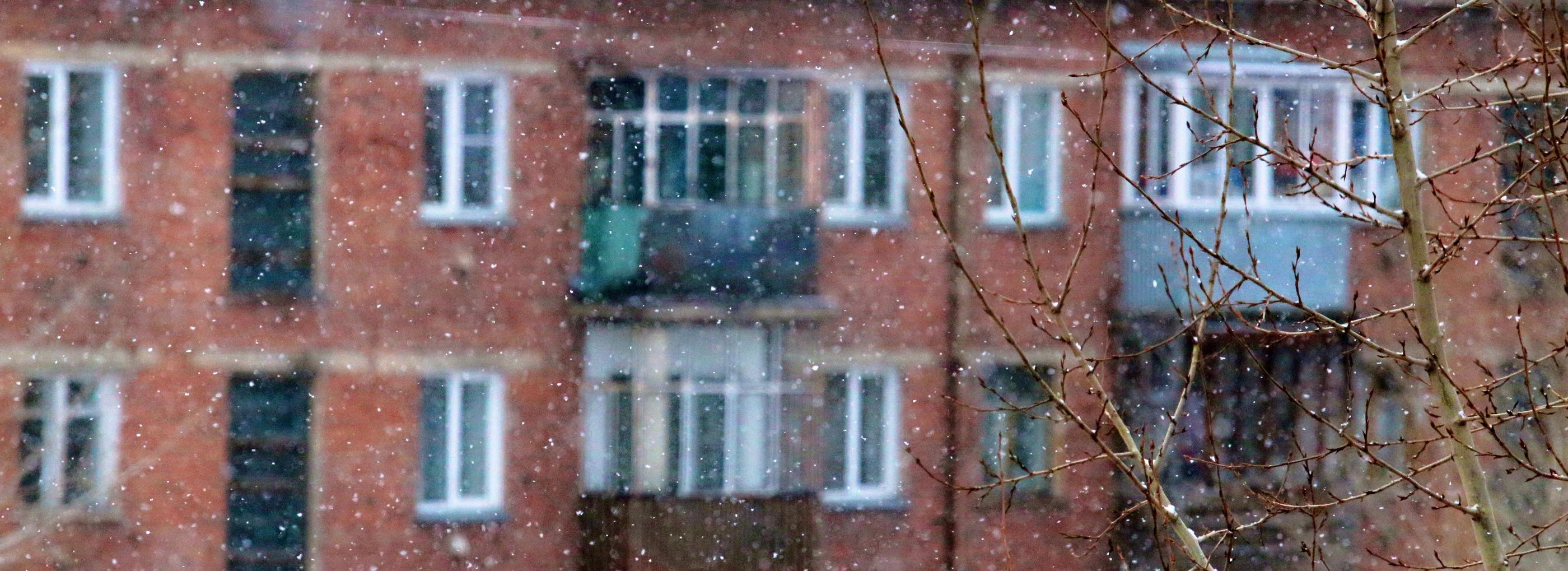 К концу недели в Новосибирске снова полетит снег