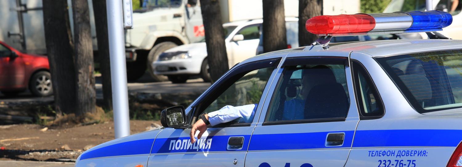 ГИБДД предупредила новосибирцев о животных на дорогах