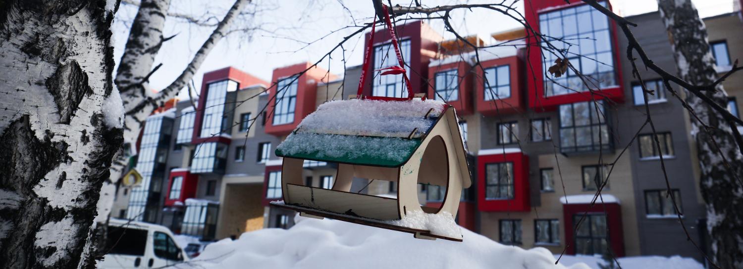 Тёплый и снежный март пообещали новосибирцам синоптики