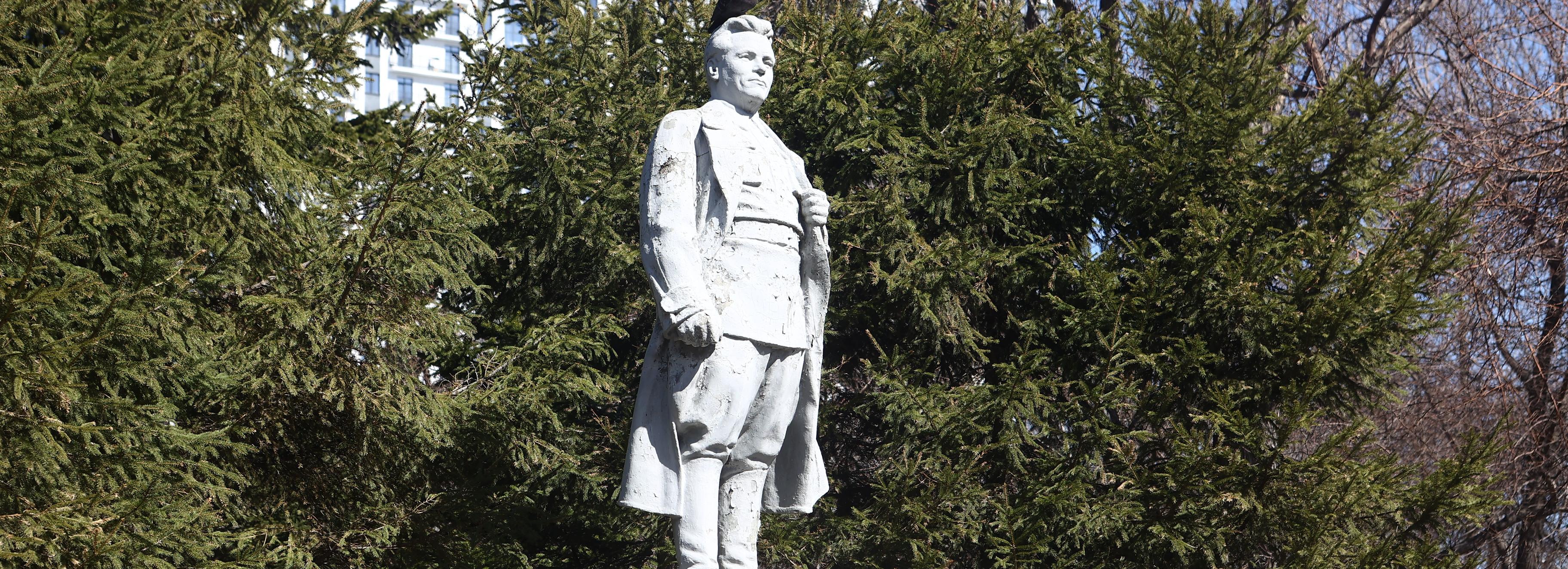 Парк Кирова и Сосновый бор лидируют в зелёных выборах в Новосибирске