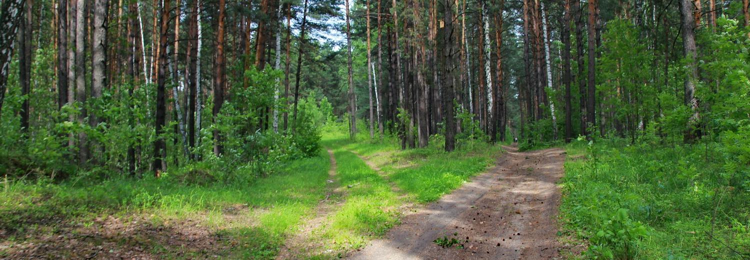 Код города: массовые вечеринки, отдых детей и защита «зелёных лёгких»