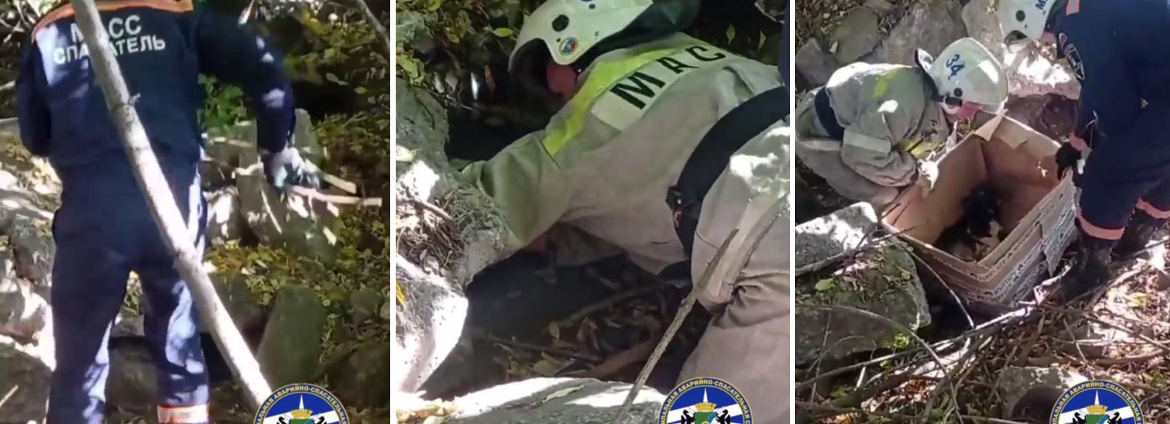 Испуганного щенка вызволили из-под бетонных плит в Новосибирске