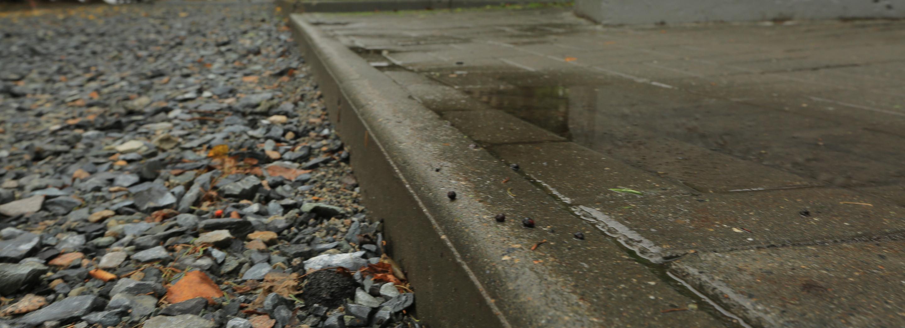 18 тротуаров уже отремонтировали в Новосибирске: список улиц