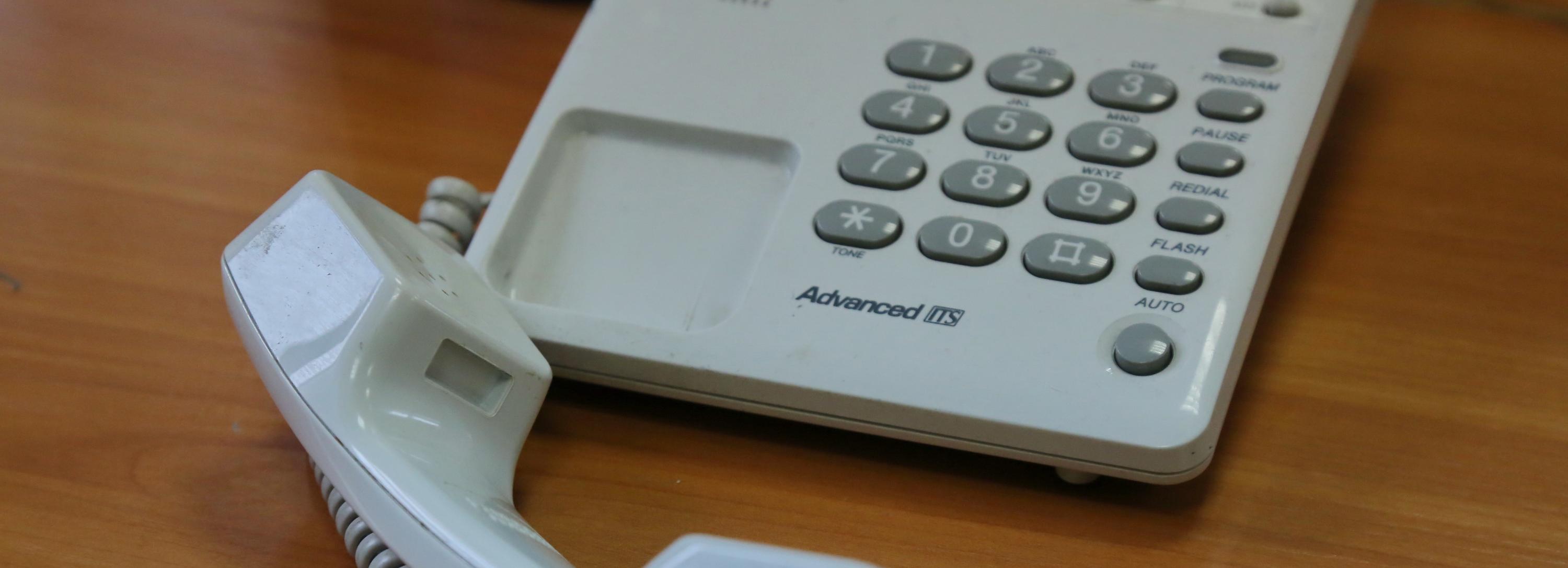 Горячую линию всероссийской переписи запустят 24 сентября