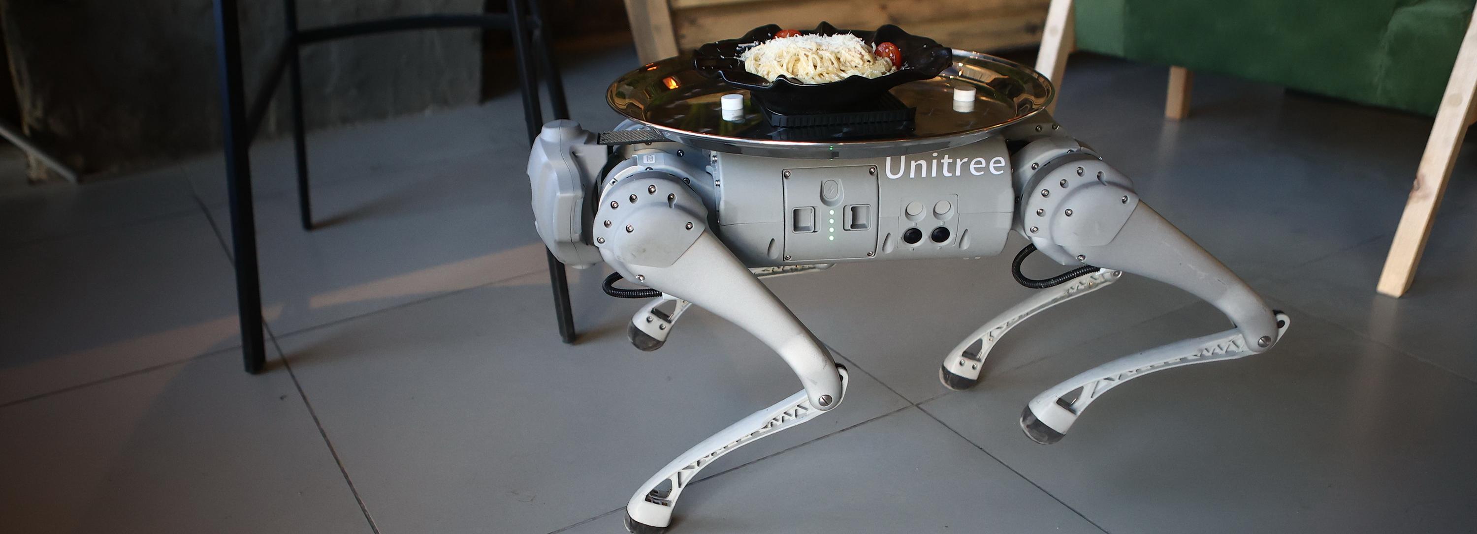 Если вы пропустили: новый мэр, испытания самолёта и официант-робот