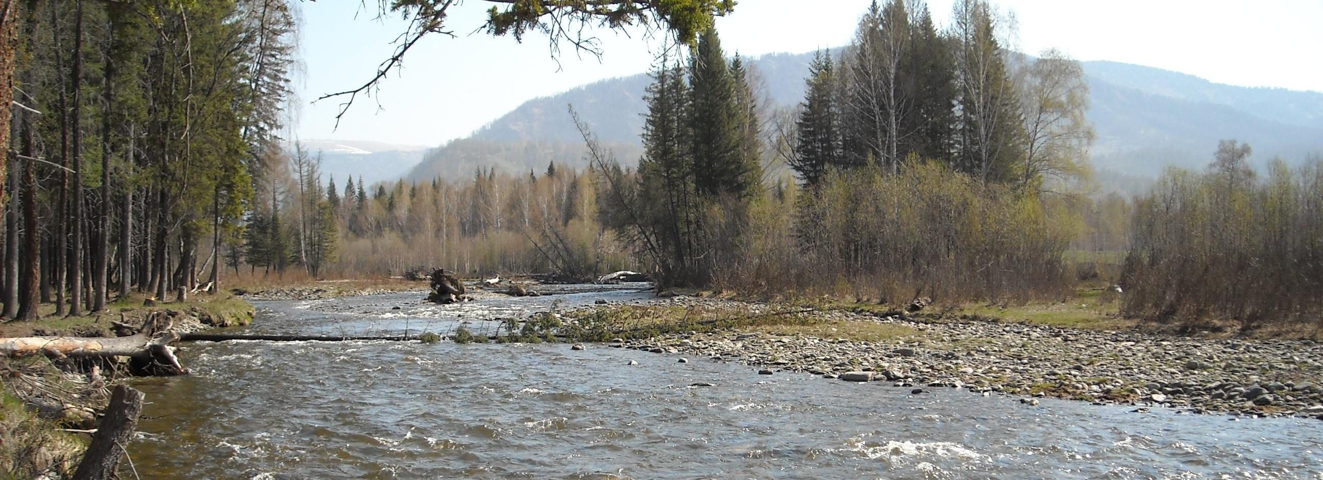 13-летнего новосибирца унесло течением Катуни на глазах у матери