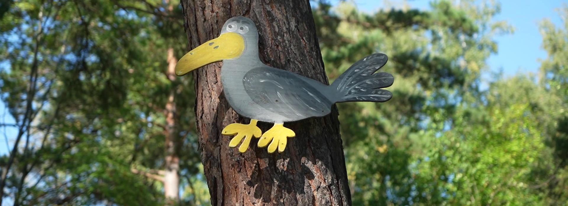 Киномастерской закрыли смену в новосибирском лагере «Сказка»