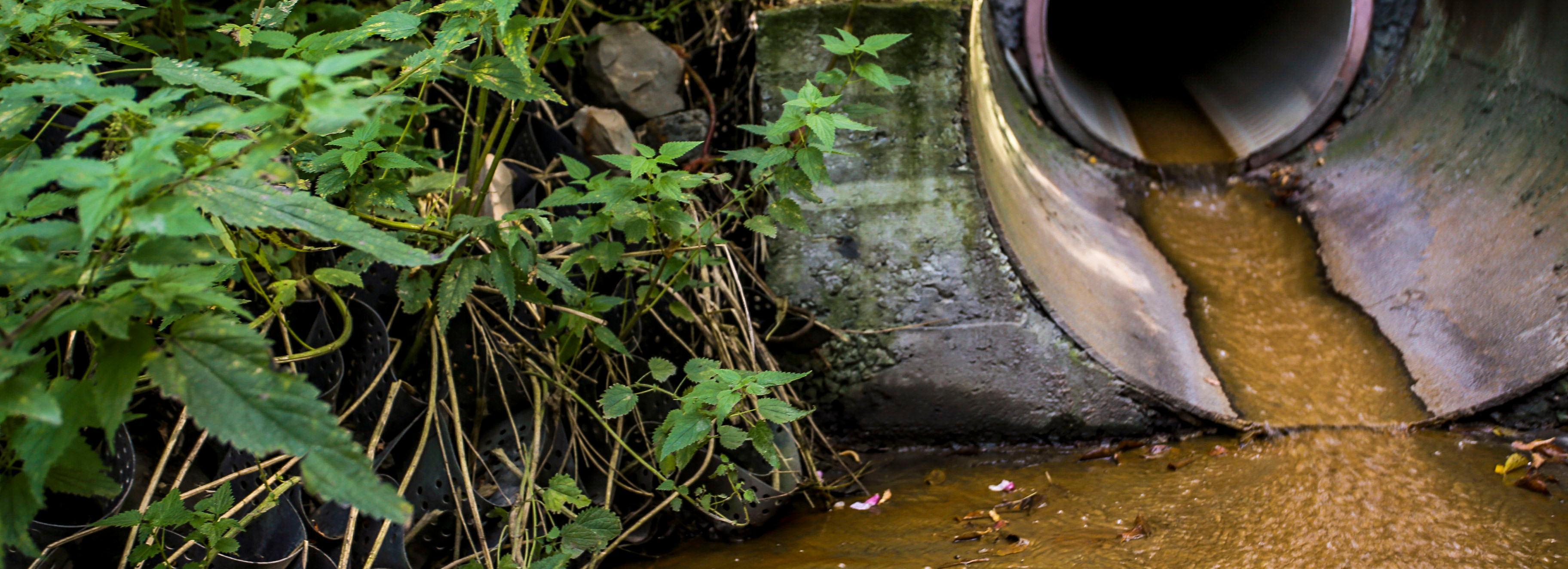 Новосибирский картонно-бумажный комбинат загрязнил земли отходами