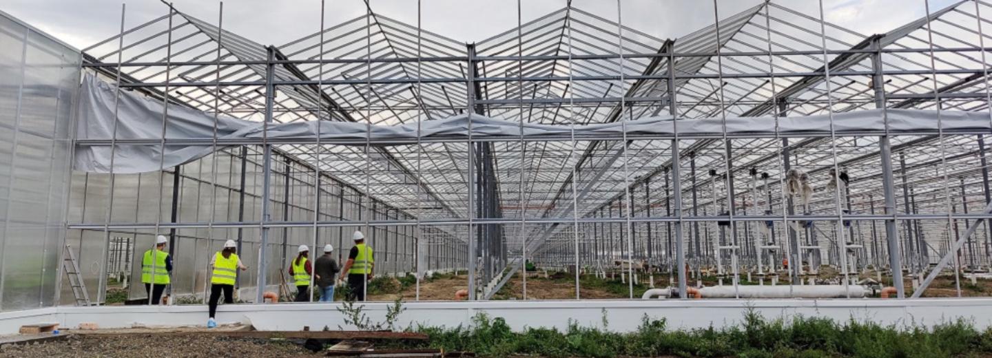 Теплицы площадью 3,2 га для выращивания цветов строят под Новосибирском