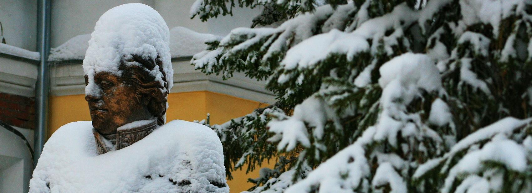 Новосибирск накроют снегопады и метели
