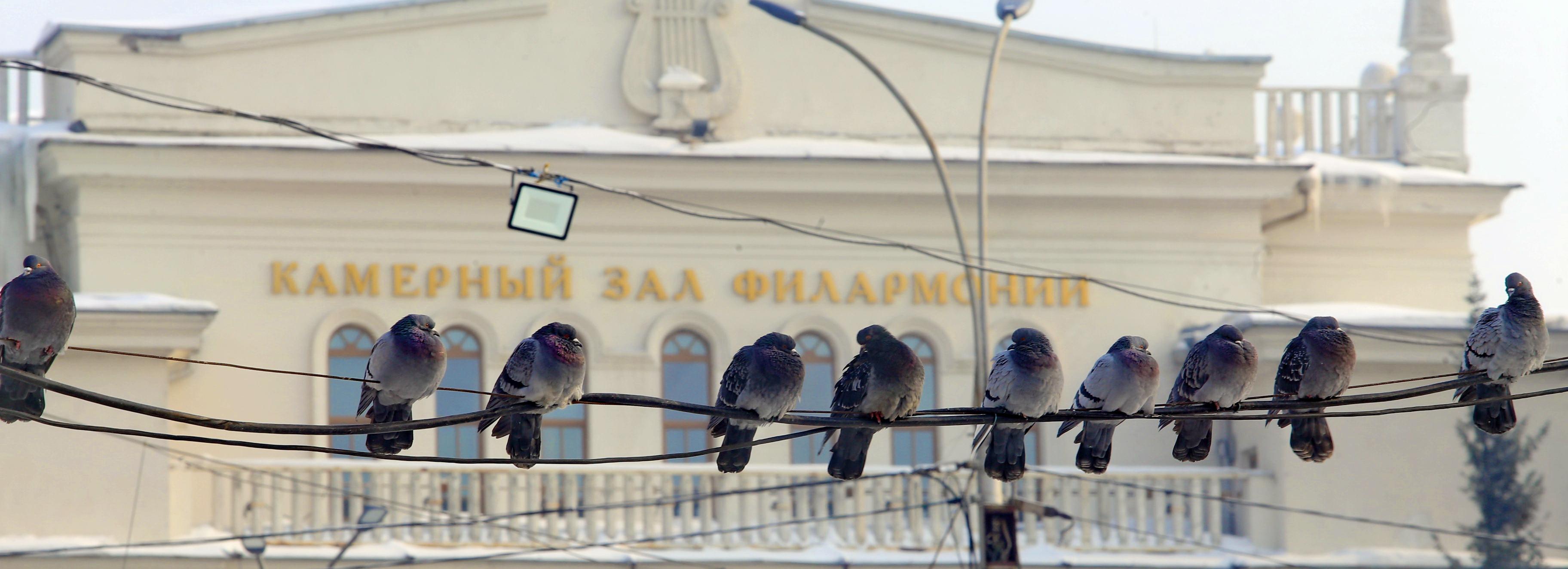 Афиша Новосибирска: куда сходить в среду, 14 августа