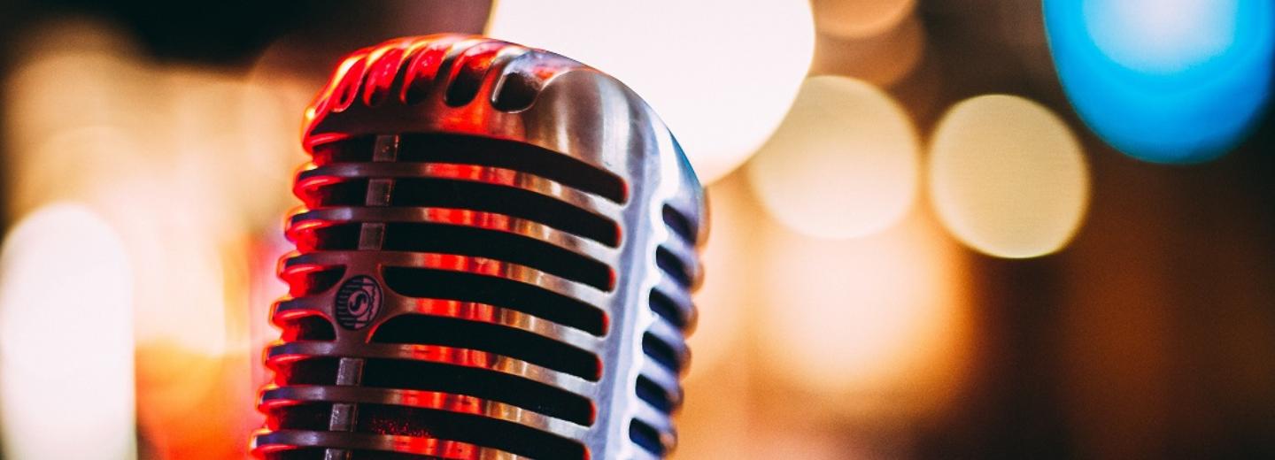 «Звёздные имена Новосибирска» зажгутся на концерте в Заельцовском парке